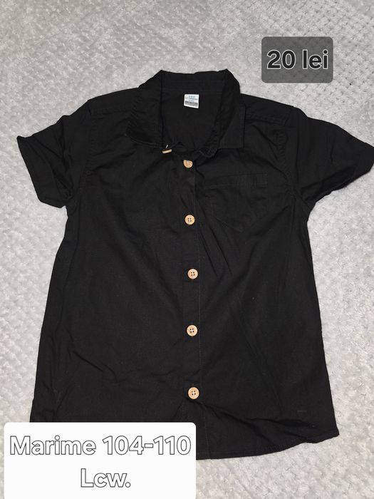 Lot camasi 104-110