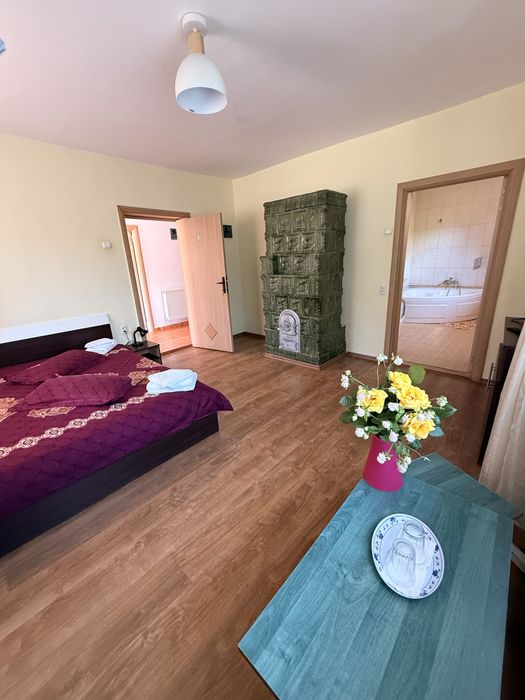 Vila Valea Doftanei