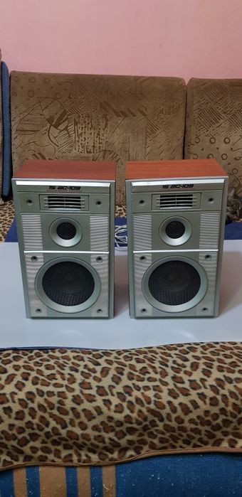 Колонки Вега 15АС - 109