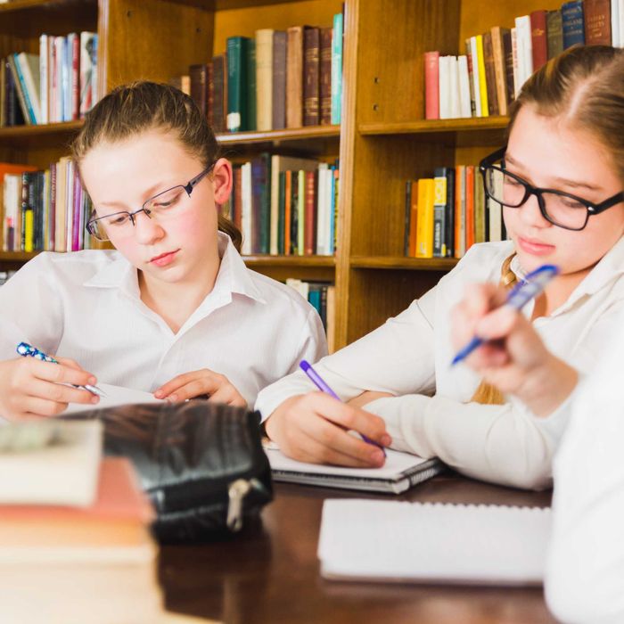 Lectii engleza germana spaniola franceza matematica romana - 95 lei