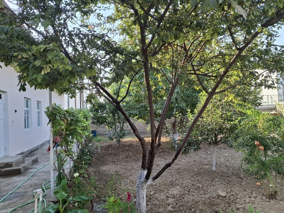 Ижарага уй узок муддатга