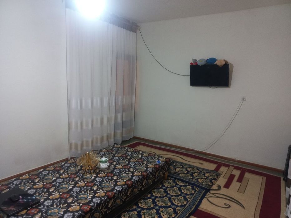 Maktab va boxcha unverset yaqin joyda joylashgan.