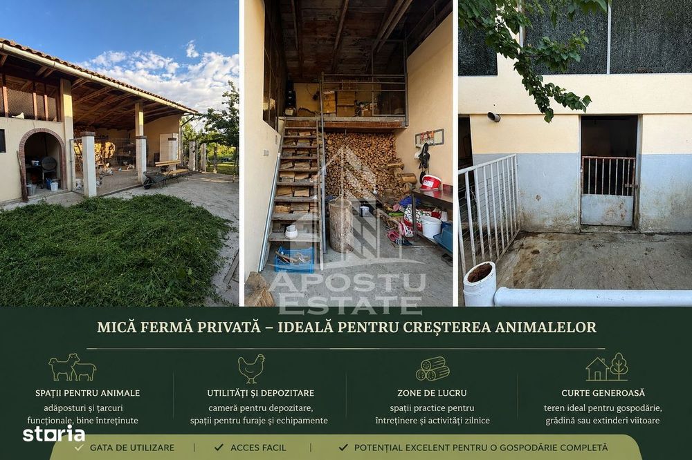 Vila cu piscina si mica ferma personala | 310 mp I Pădurea Verde