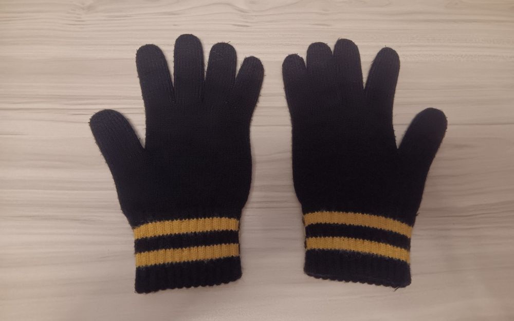 Ръкавици на Ботев Пловдив