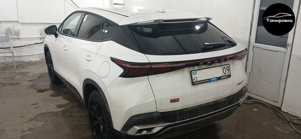 Тонировка тонирование