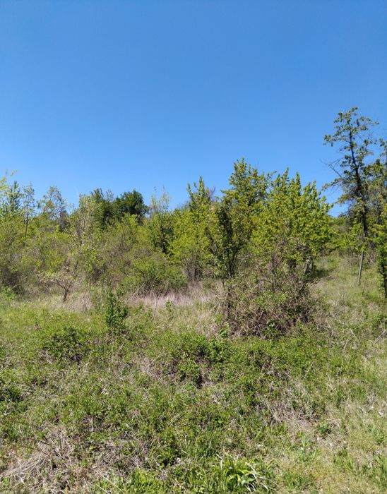 Продава се Парцел в Дупница - 2300 кв.м за 3 €/кв.м - Снимка #2