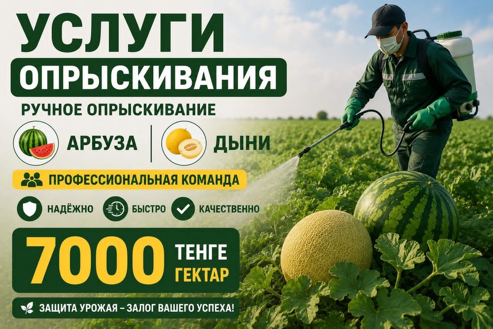 Опрыскиваем поля