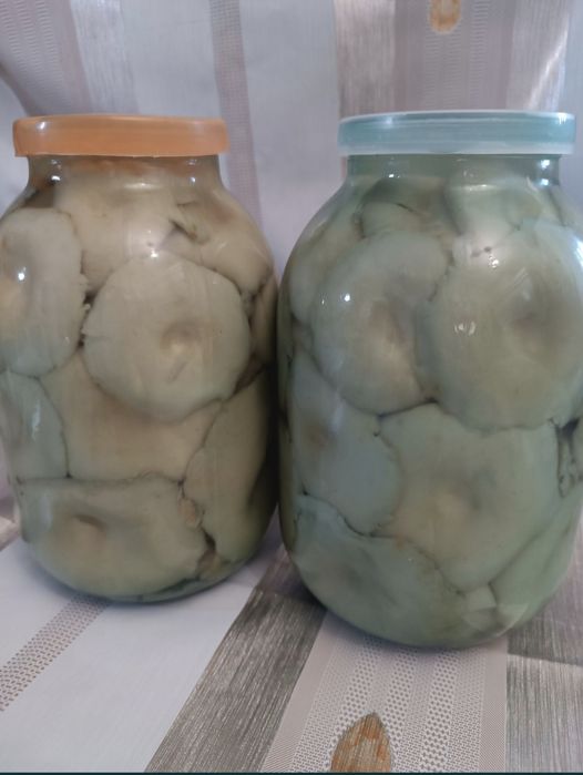 Соленые грибы грузди