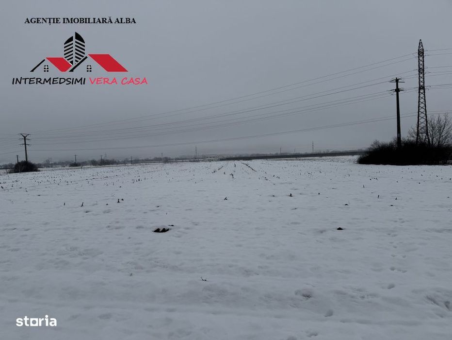 Teren intravilan 3900 mp de vanzare pe Centura Alba iulia ( konti )