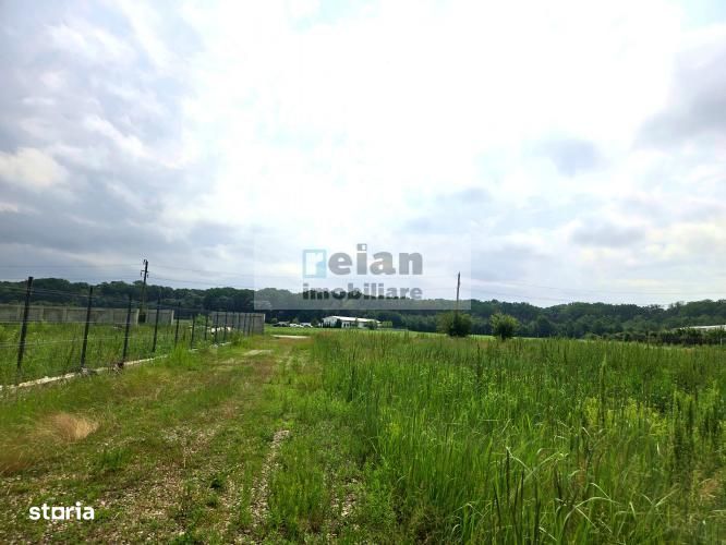 Ciolpani - Padure 1100 Mp, Toate Utilitatile, Padure, 26 Deschidere