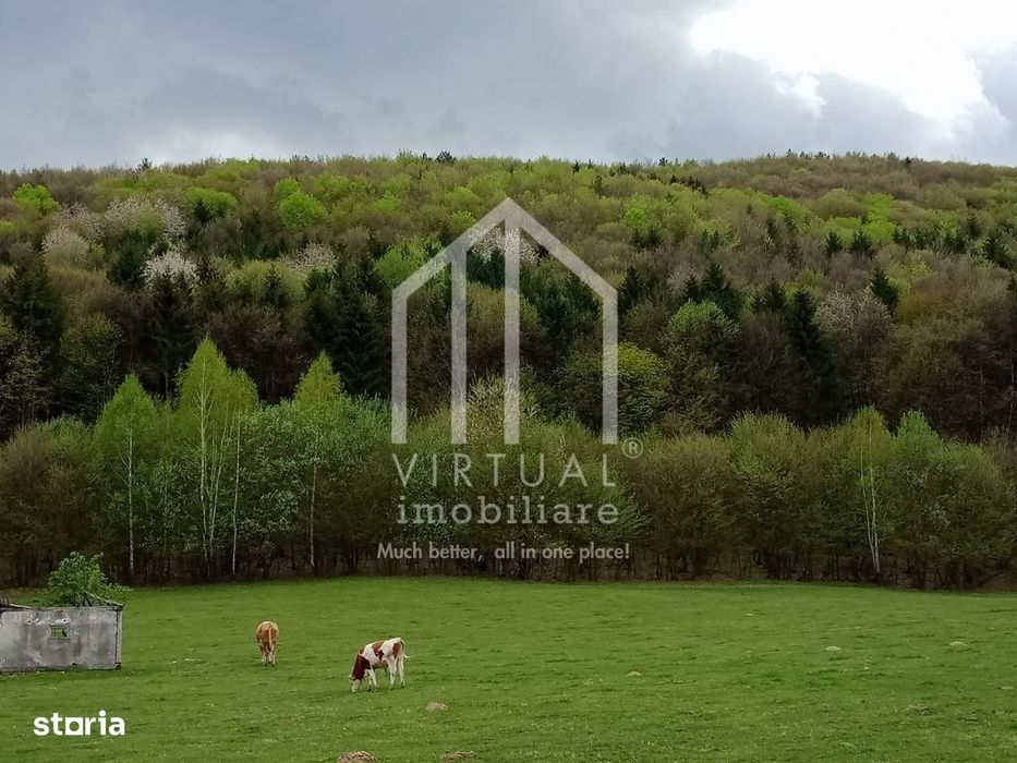 Teren intravilan de vanzare in Tocile, 3862 mp, priveliste spre padure