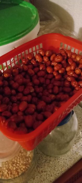 Дача с большим садом