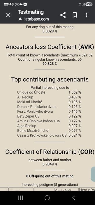 Волкодав Чехословацкий