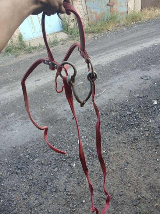 Продам уздечку для лошади