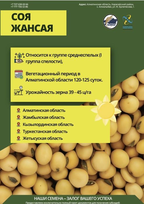 Семена сои сорта: Жансая и Айсауле