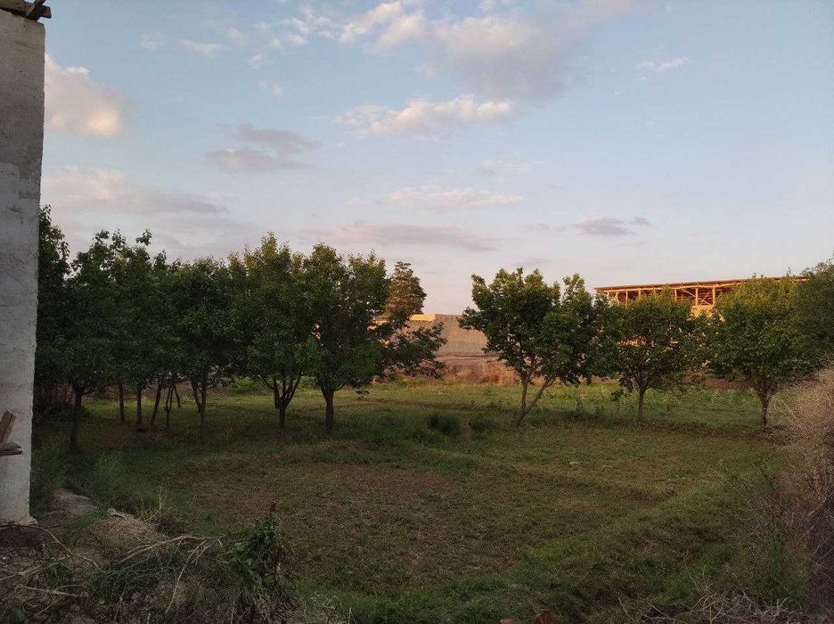 21 Sotixli hovli sotiladi