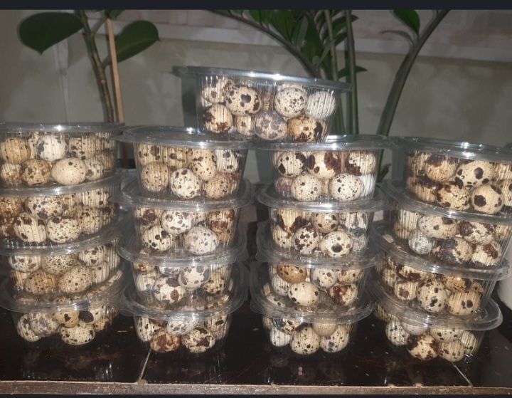 Бодене балапан сатылады