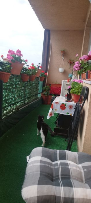 Vânzare garsoniera