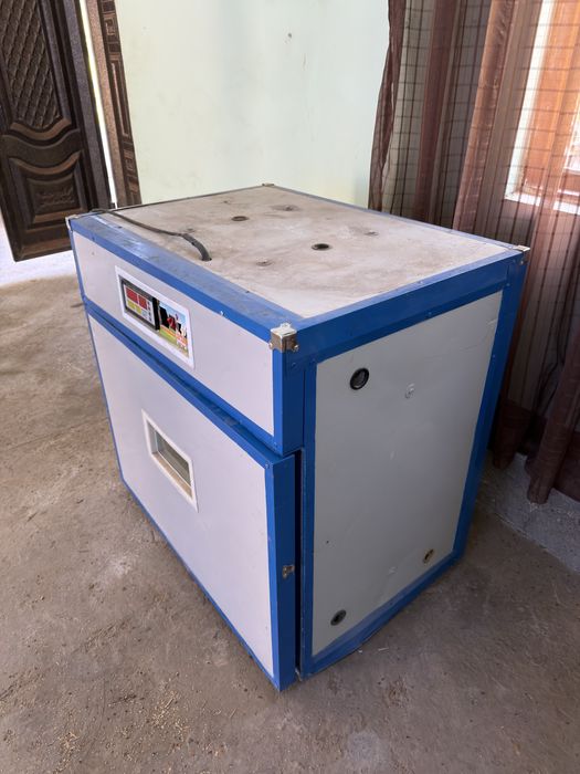 Joʻja chiqaradigan inkubator sotiladi 500 talik