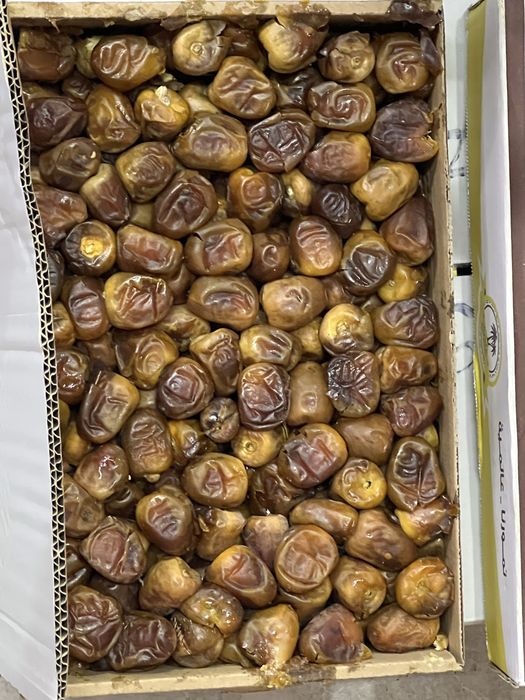 Суккари финик высший сорт