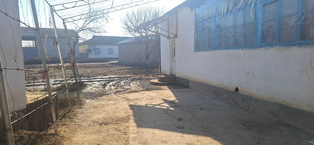 Uy sotiladi Chinoz tumanida