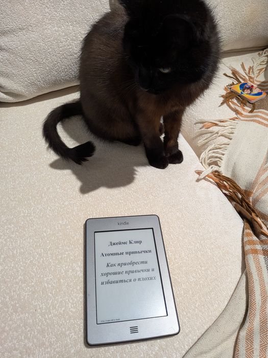 Kindle Touch 4 gen электронная книга