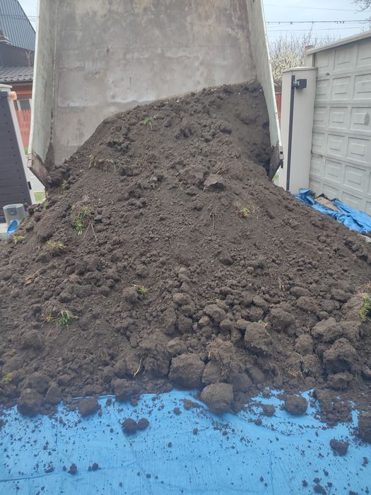 Pamant negru pământ nisip