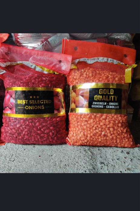 Vand Arpagic Olanda Stuttgarter 14/17 // 14/21 // 10/21