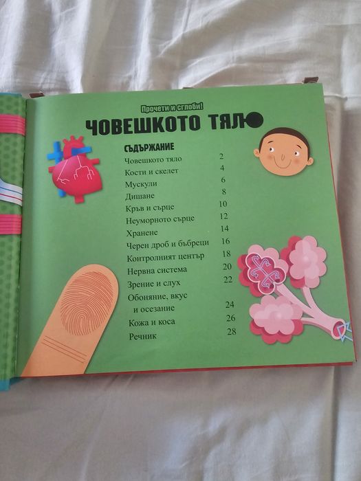 ФЮТ Прочети и сглоби Човешкото тяло и Как виждаме светлината