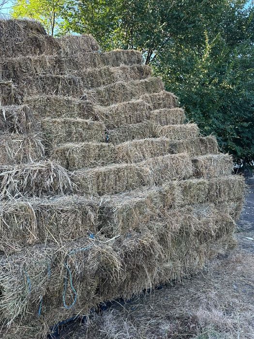 Baloți lucernă de vânzare