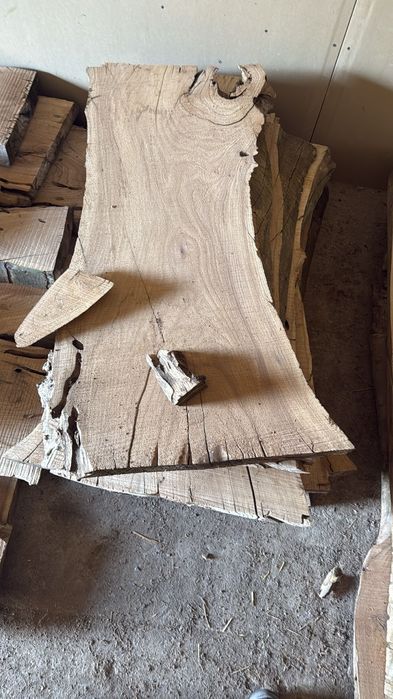 Караағаш. Лес. Сухой лес карагач !