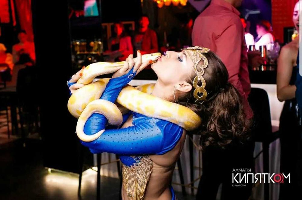 Шоу-программа для вашего праздника!