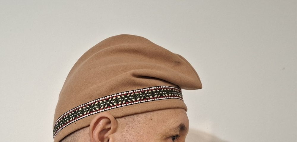 Fesuri istorice de dac