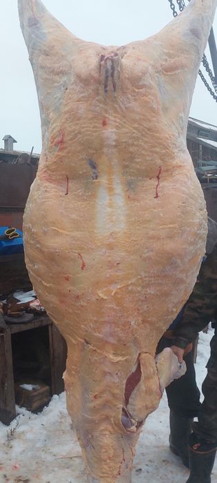 Букалар сатылады...