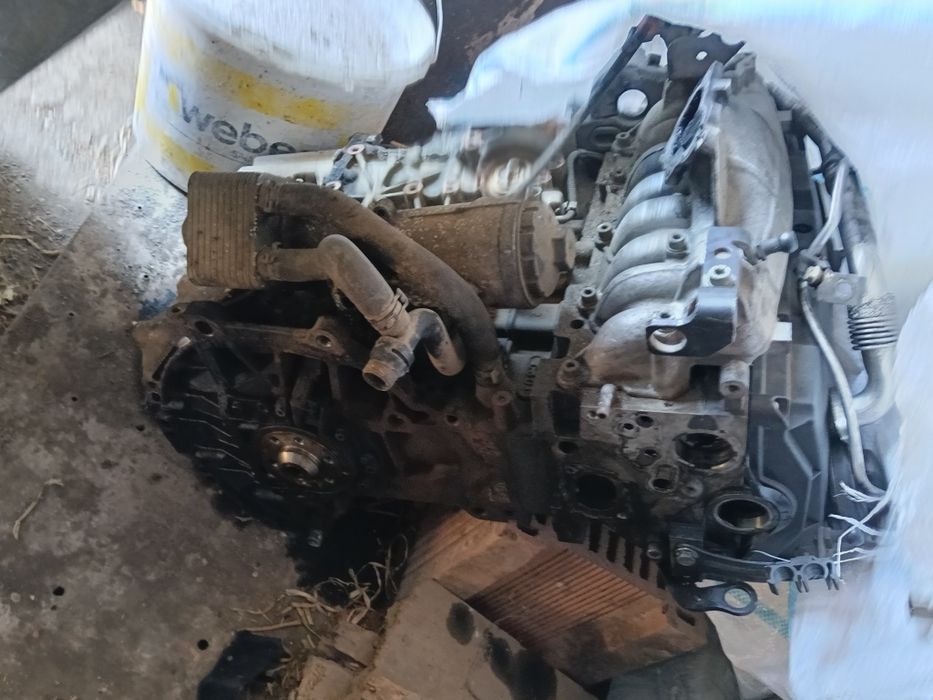 Chiuloasă audi a4 b7 motor 2.0 cod motor blb