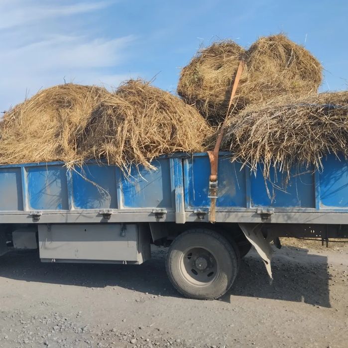 Грузоперевозки по городу и районам