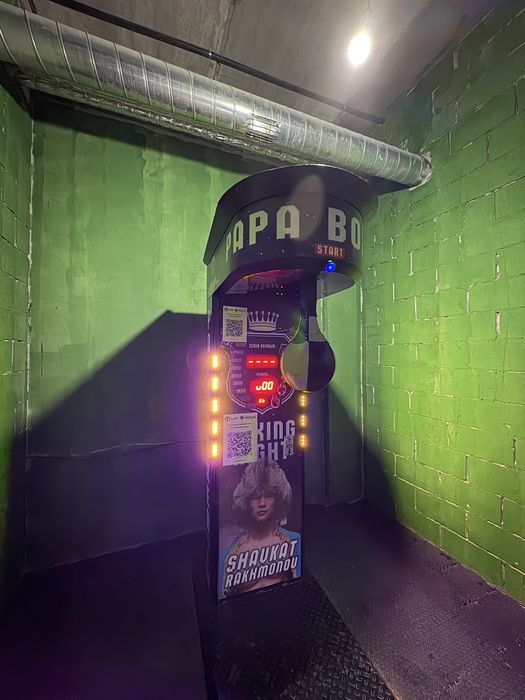 Силомер Rocky Boxer