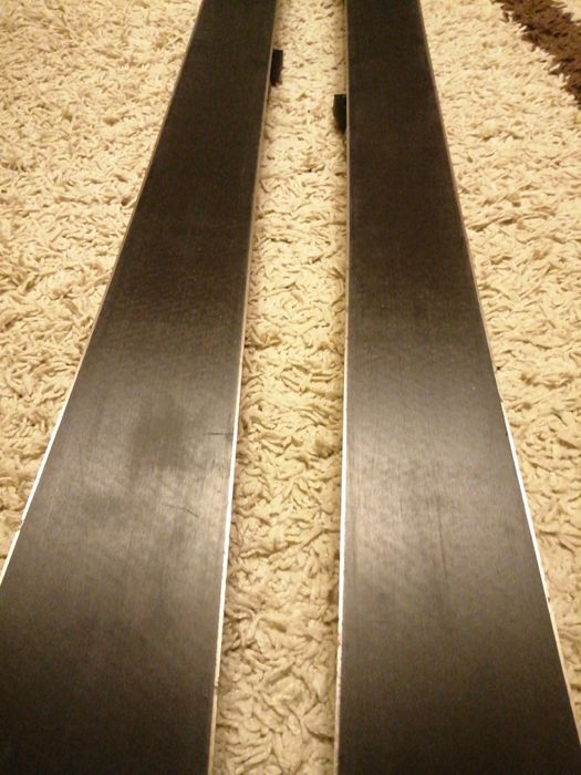 Schiuri Fischer Progressor