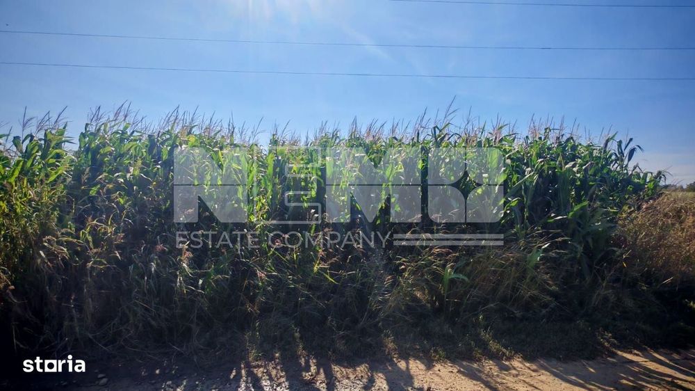 Teren generos | 45 Ari | Utilități în zonă | Deschidere la drum