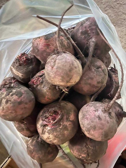 Свекла оптом в Петропавловске