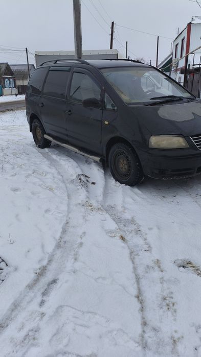 Шаран сатылады срочно