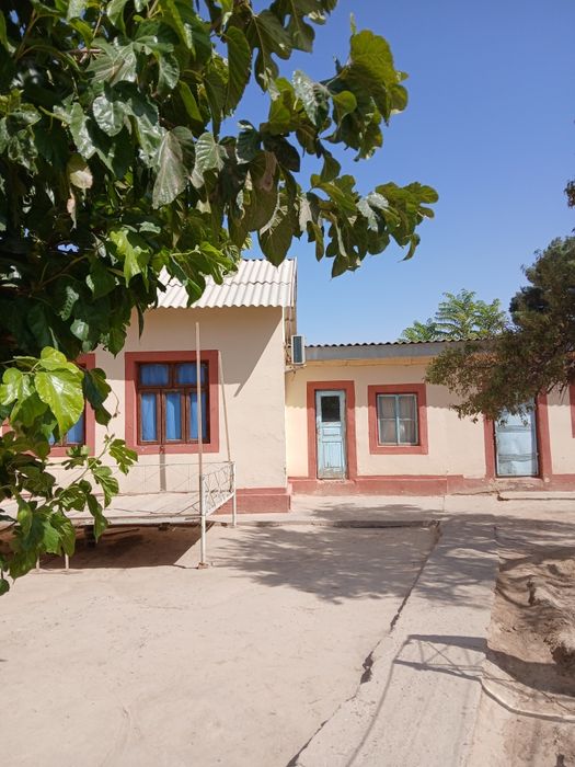 Termiz shahar Kattabog' mahallasi Navbaxor kóchasi 62 uy