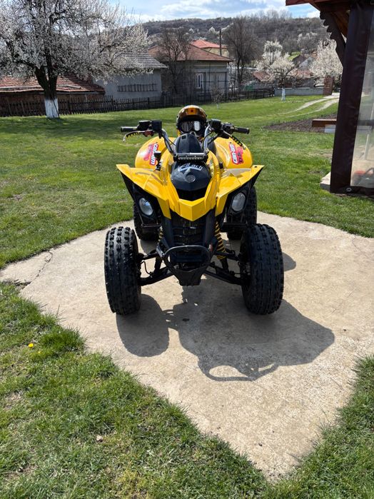 АТВ Can-am 250-DS