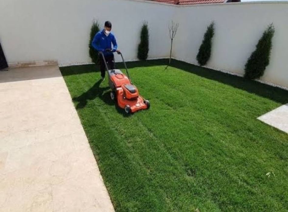 Tuns iarba și întreținere grădină – servicii complete !