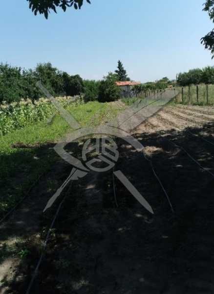Парцел в с. Старо Железаре !101857