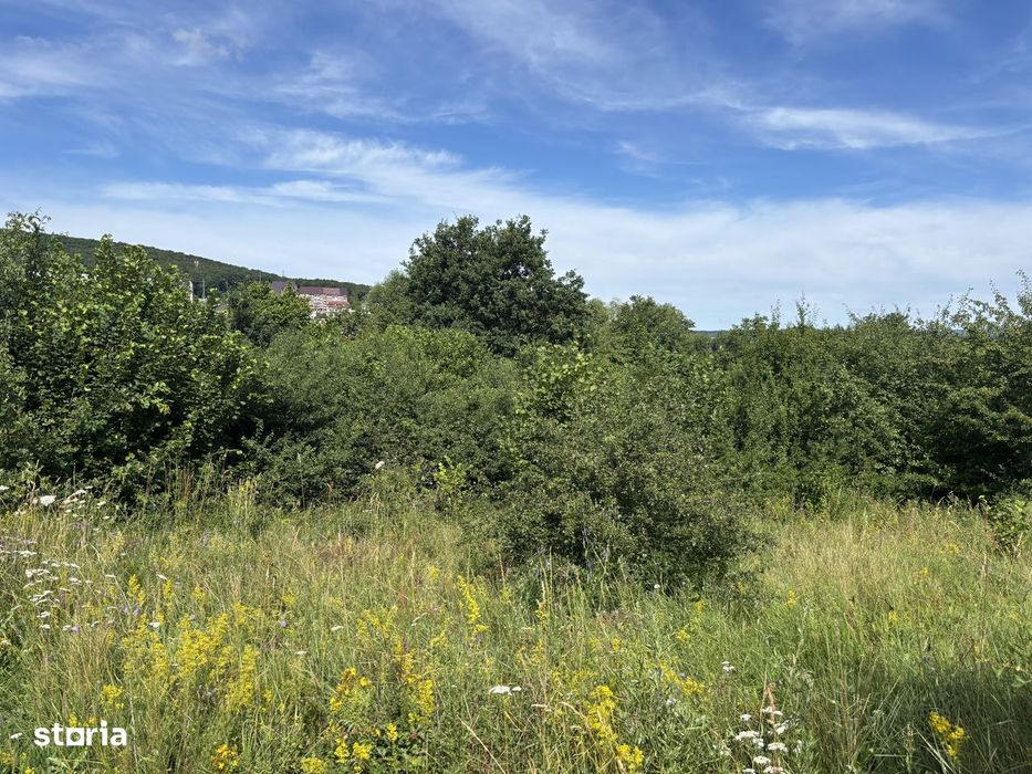 Teren intravilan Manastur/zona Campului