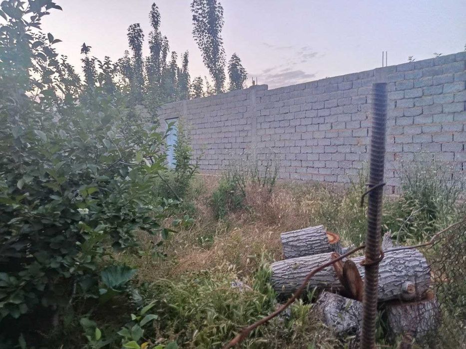 Bo'stonliq tumani, Soyliq qishlog'ida yer sotiladi