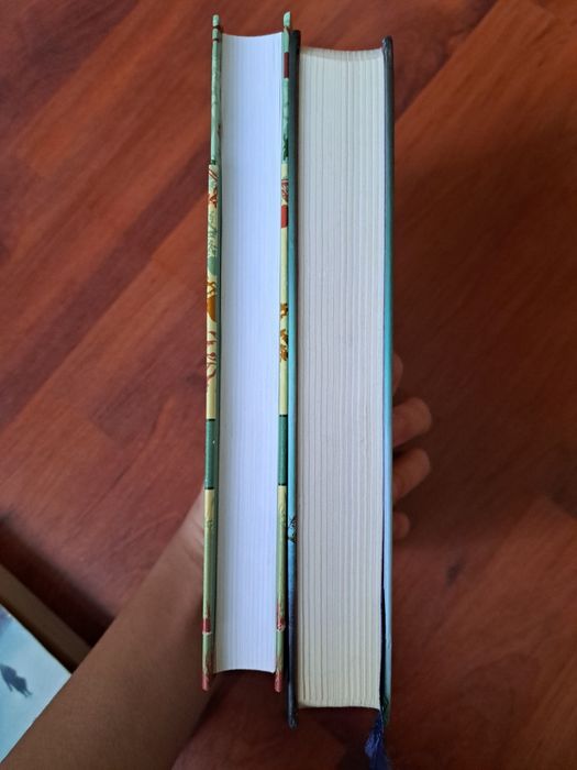 Садовые чары, когда я падаю во сне КНИГИ