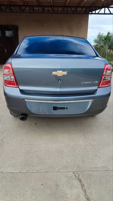 Cobalt 2023 gum svet