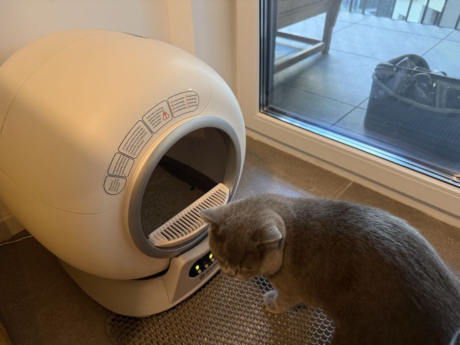 Vand Litiera Automata Shaw v2, cumparata in 2025, cu garantie!